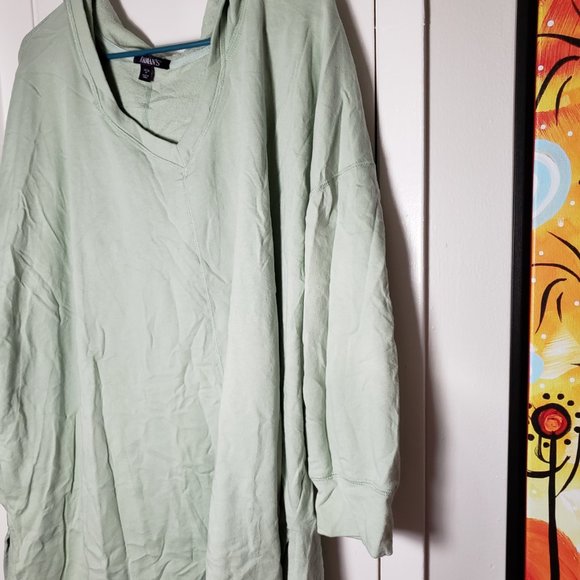 Roaman's Hoodie - Sage Green - Super Soft - 4X (34/36) - Picture 5 of 5